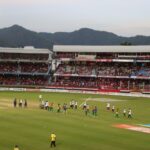 cricket-262180_1920